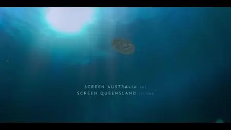 Dive Club S01E11