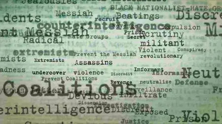 BBC - Storyville: The Black Panthers (2016)