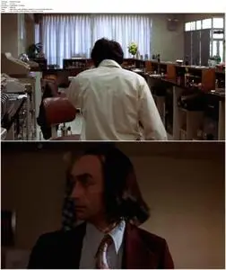 Dog Day Afternoon (1975)