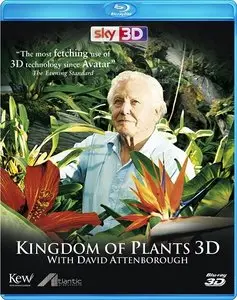 Kingdom of Plants [3 series] / Царство растений [3 серии] (2012) 