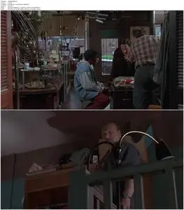 American Buffalo (1996)