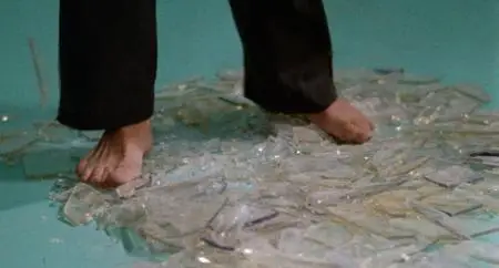 Tiger Claws (1991)