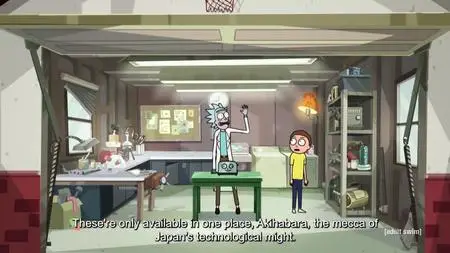 Rick and Morty S05E00