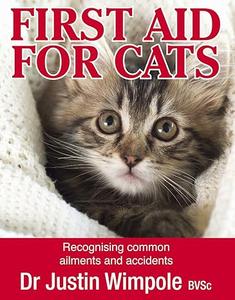 First Aid for Cats: Recognising Common Ailments and Accidents