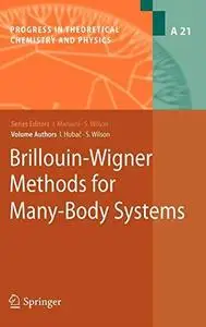 Brillouin-Wigner Methods for Many-Body Systems