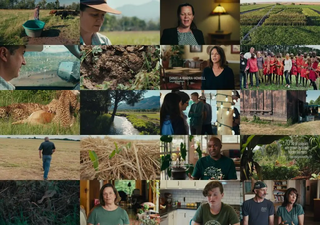 To Which We Belong (2021)