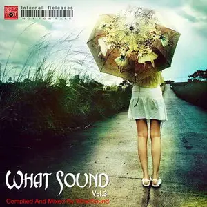 VA - What Sound Vol 3 (2009)