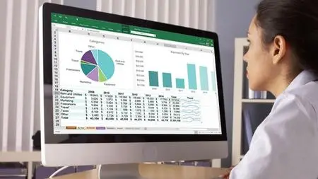 Become a Pro in Excel: Financial Modeling and Valuation