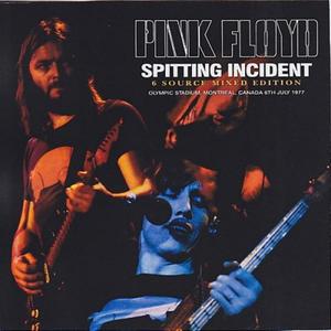 Pink Floyd - Spitting Incident (6 Source Mixed Edition) (2015)
