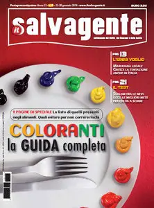 Il Salvagente N.04 - 23-30 gennaio 2014