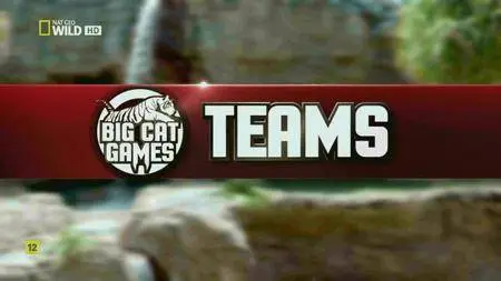 National Geographic - Big Cat Games (2016)
