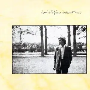 David Sylvian ‎– Brilliant Trees (1984) [LP,DSD128]