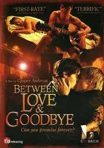 Between Love and Goodbye (2008)