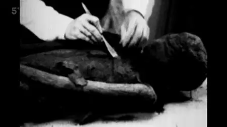 Ch5. - The Curse of King Tut (2020)