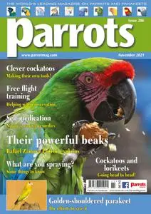 Parrots – November 2021