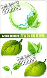 Dew on the leaves - Stock Vector