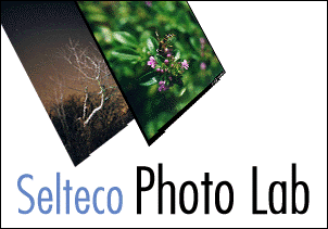 Selteco Photo Lab ver. 2.2.6.3