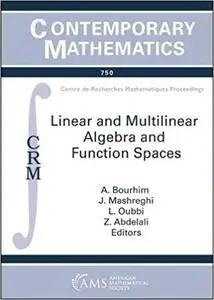 Linear and Multilinear Algebra and Function Spaces