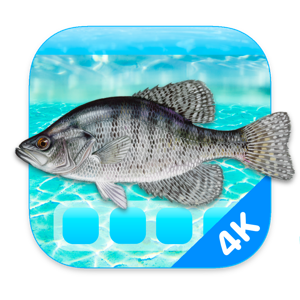 Aquarium 4K - Live Wallpaper 1.0.5