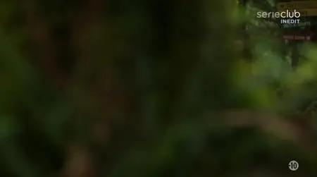 Dead of Summer S01E08