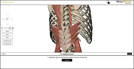 Visible Body Muscle Premium v3.1.3