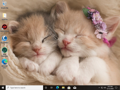 Windows 10 Pro 20H2 10.0.19042.685 With Office 2019 Pro Plus Preactivated Multilanguage December 2020