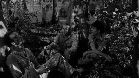 Down by Law (1986)