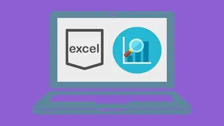 Excel for Data Analysis: Basic to Expert Level