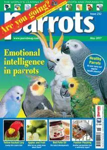 Parrots - May 2017
