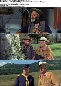Old Surehand (1965) [Reuploaded]