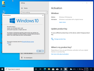 Windows 10 Enterprise 21H1 10.0.19043.1165 With Office 2019 Pro Plus Preactivated Multilingual August 2021