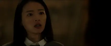 The Beauty Inside (2015) + Extras & Commentary