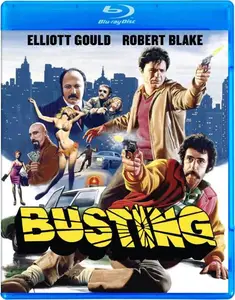 Busting (1974) [MultiSubs] + Commentary