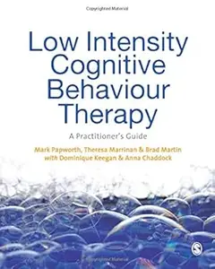 Low Intensity Cognitive-Behaviour Therapy: A Practitioner′s Guide