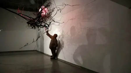 I Am Sun Mu (2015)