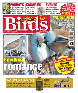 Cage & Aviary Birds - 9 July 2025