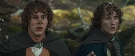 The Lord of the Rings: The Fellowship of the Ring (2001) [REMASTERED, EXTENDED]