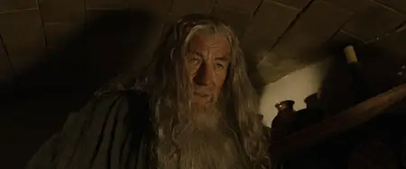 The Lord of the Rings: The Fellowship of the Ring (2001) [REMASTERED, EXTENDED]