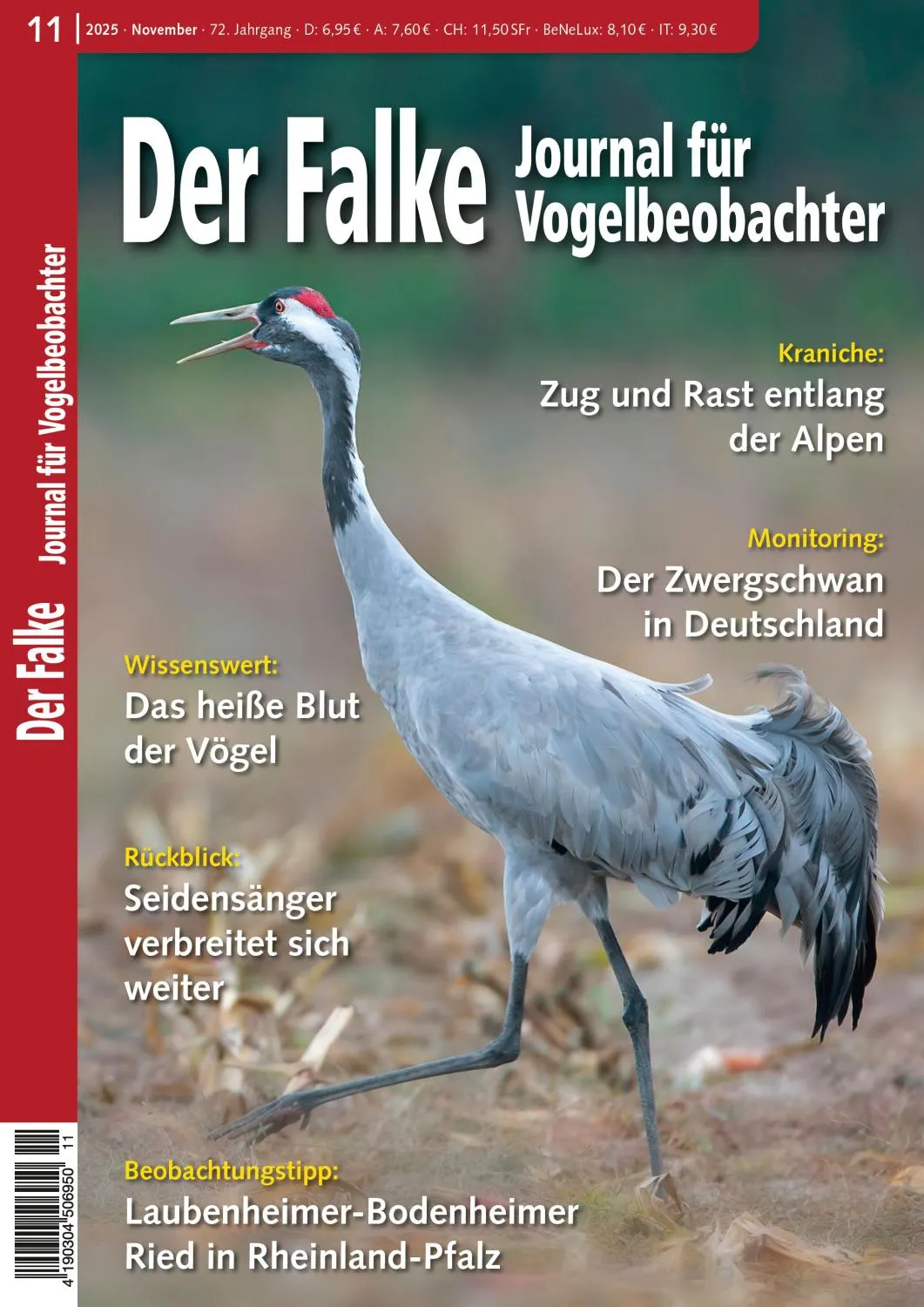Der Falke Journal für Vogelbeobachter - November 2025