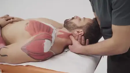 Therapeutic Deep tissue massage - Professional Diploma.