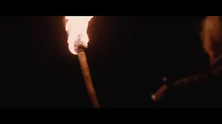 Red Riding Hood (2011)