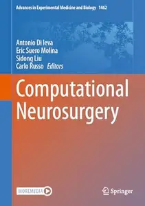 Computational Neurosurgery