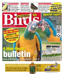 Cage & Aviary Birds - 20 August 2025