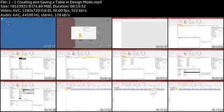 Microsoft Access 2019/365: Beginner To Advanced