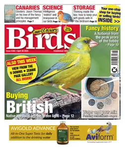 Cage & Aviary Birds - 30 April 2025