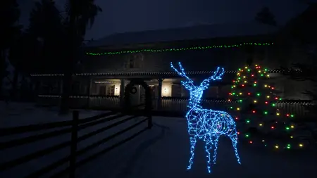 Lonely Christmas (2024)