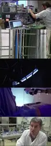 The Hunt for Dark Matter (2017)