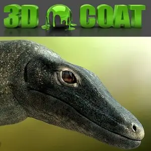 3D-Coat 3.00.08M