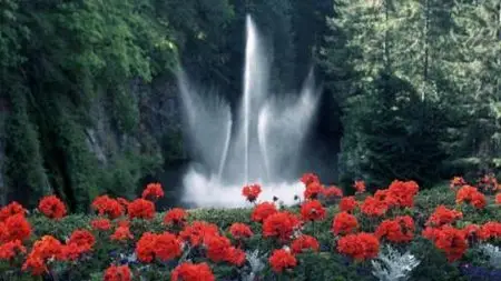 HD Moods: Flowers (2008)