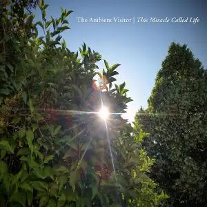 The Ambient Visitor - This Miracle Called Life (2018)